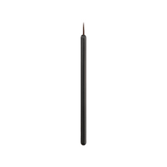 Eyeliner Brush